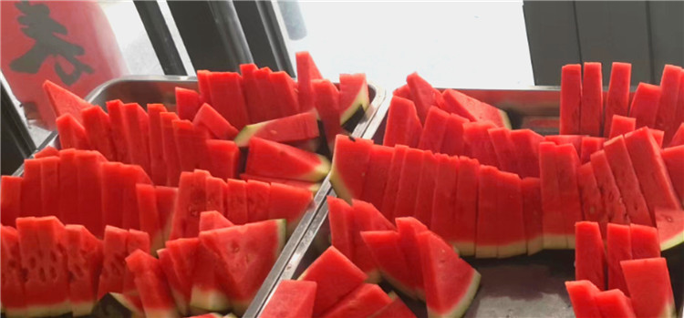 7b257036d0a8bf70d2f354e91b57909 7b257036d0a8bf70d2f354e91b57909